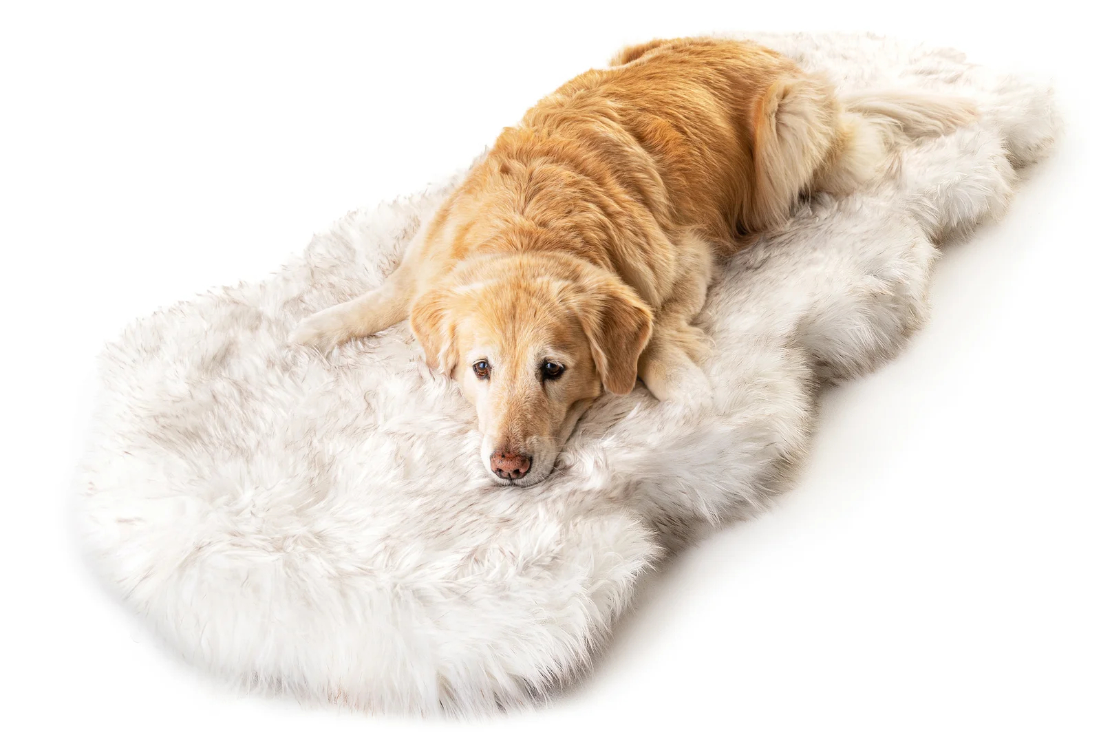 【Pet】Pretor Puprug Runner Faux Fur Memory Foam Dog Curve Mat