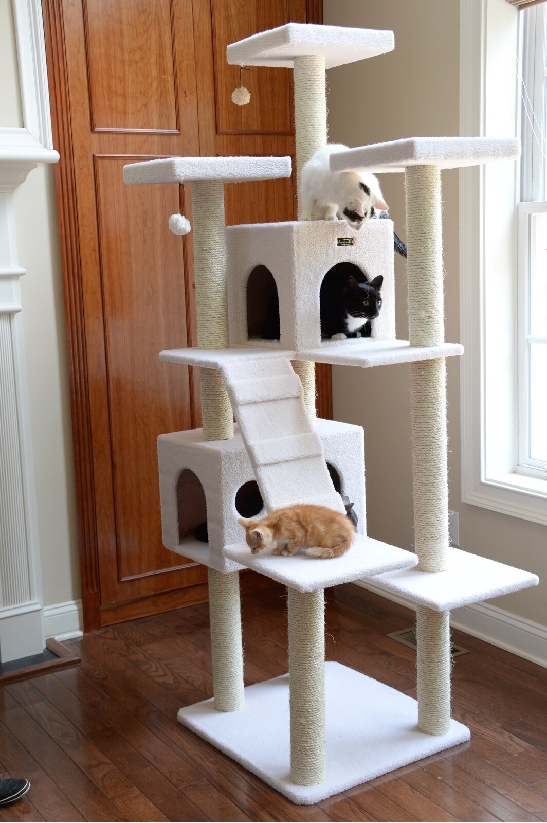 【Pet】77" Zuckerman Classic Real Wood Jackson Galaxy Approved Cat Tree
