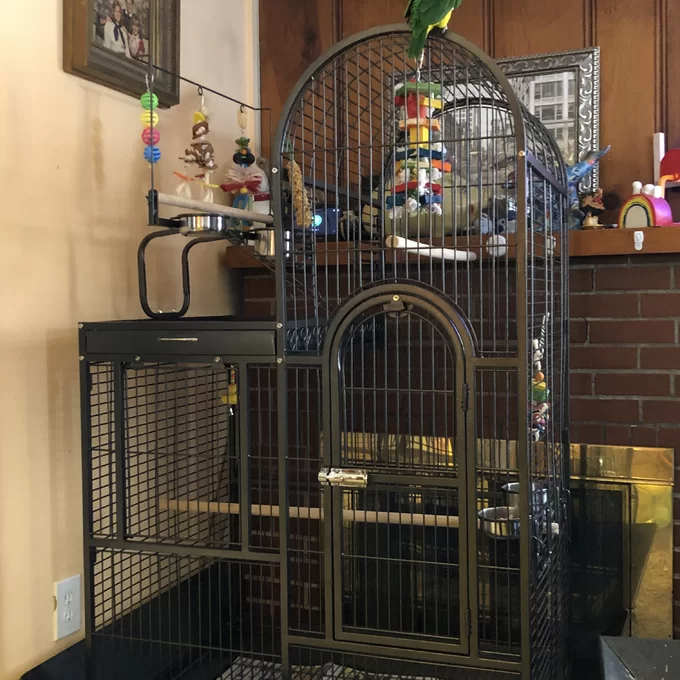 【Pet】Nickelson 66'' Steel Play Top Floor Bird Cage with Wheels