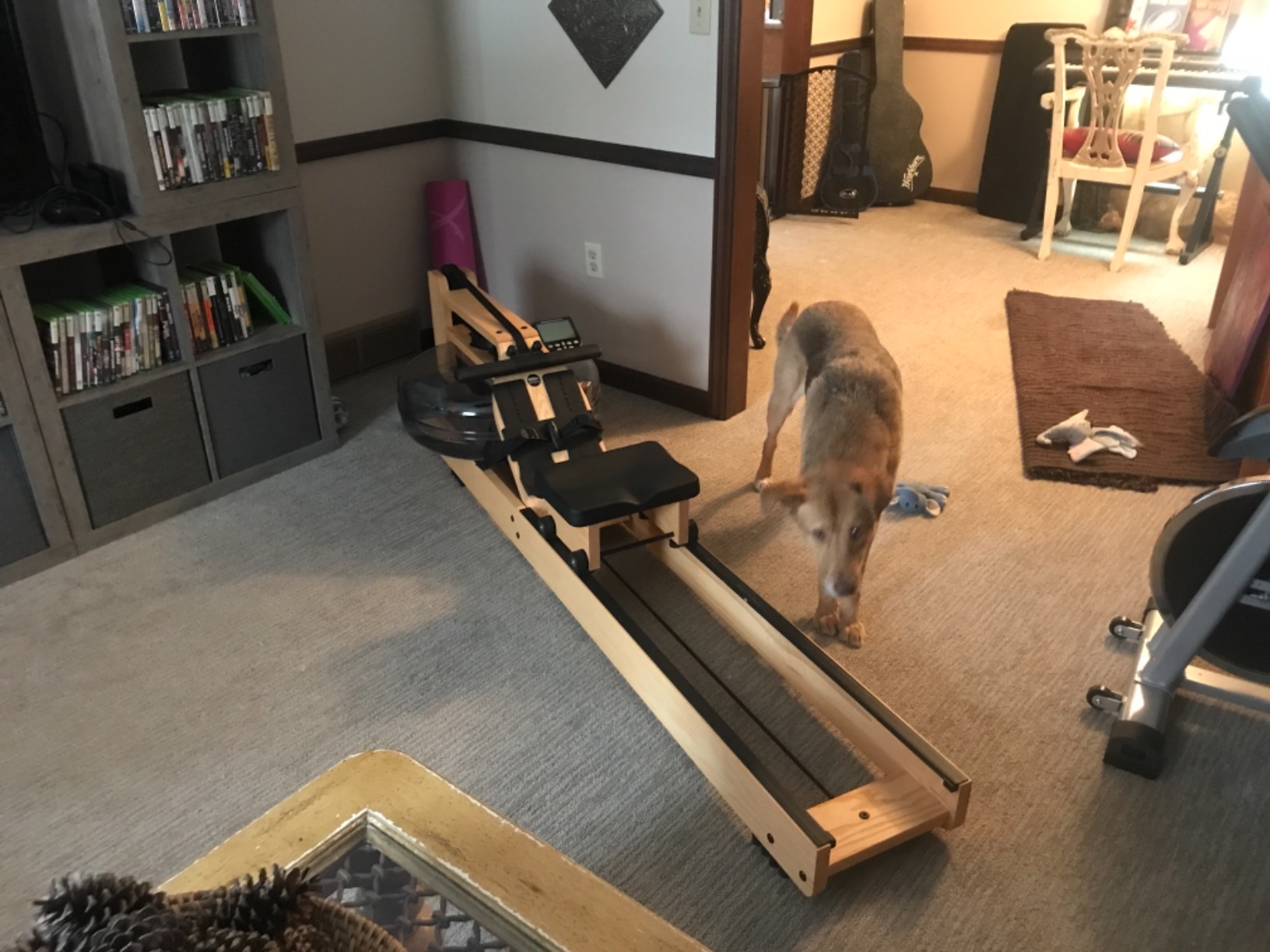 【Sports&Outdoors】WaterRower Natural Rowing Machine S4