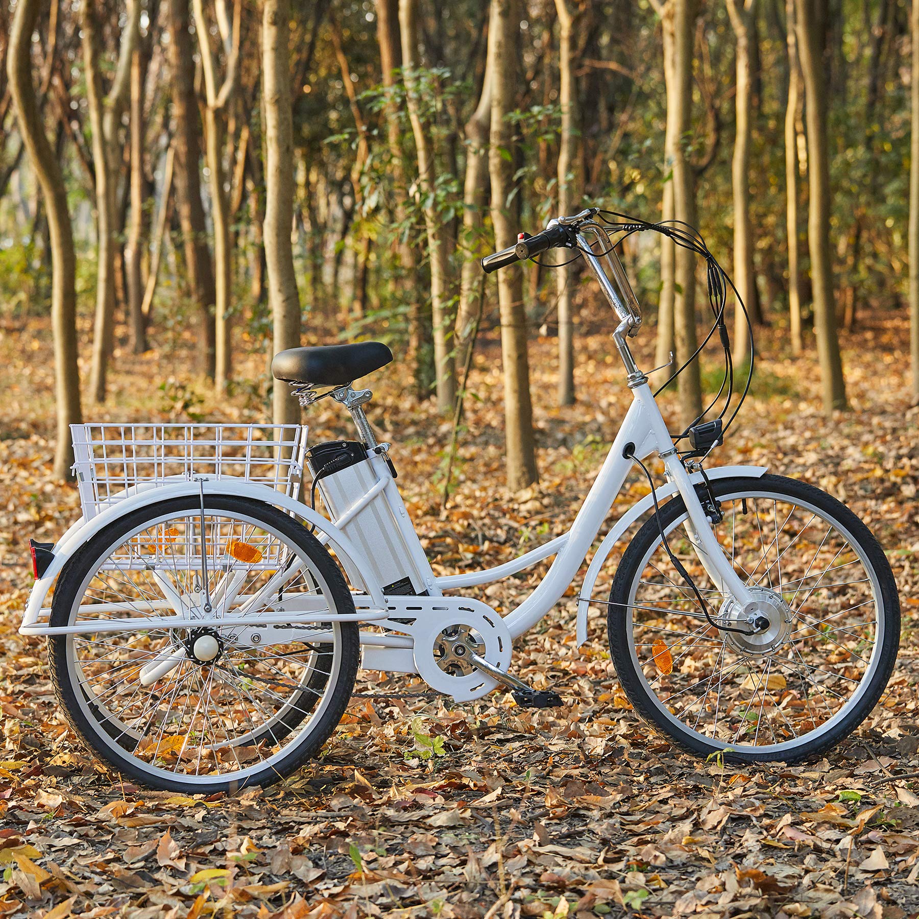 【Sports&Outdoors】3 Wheel Electric Bike for Adults with 250w Motor, Bike Tube, Removable 36V 10Ah Lithium Battery