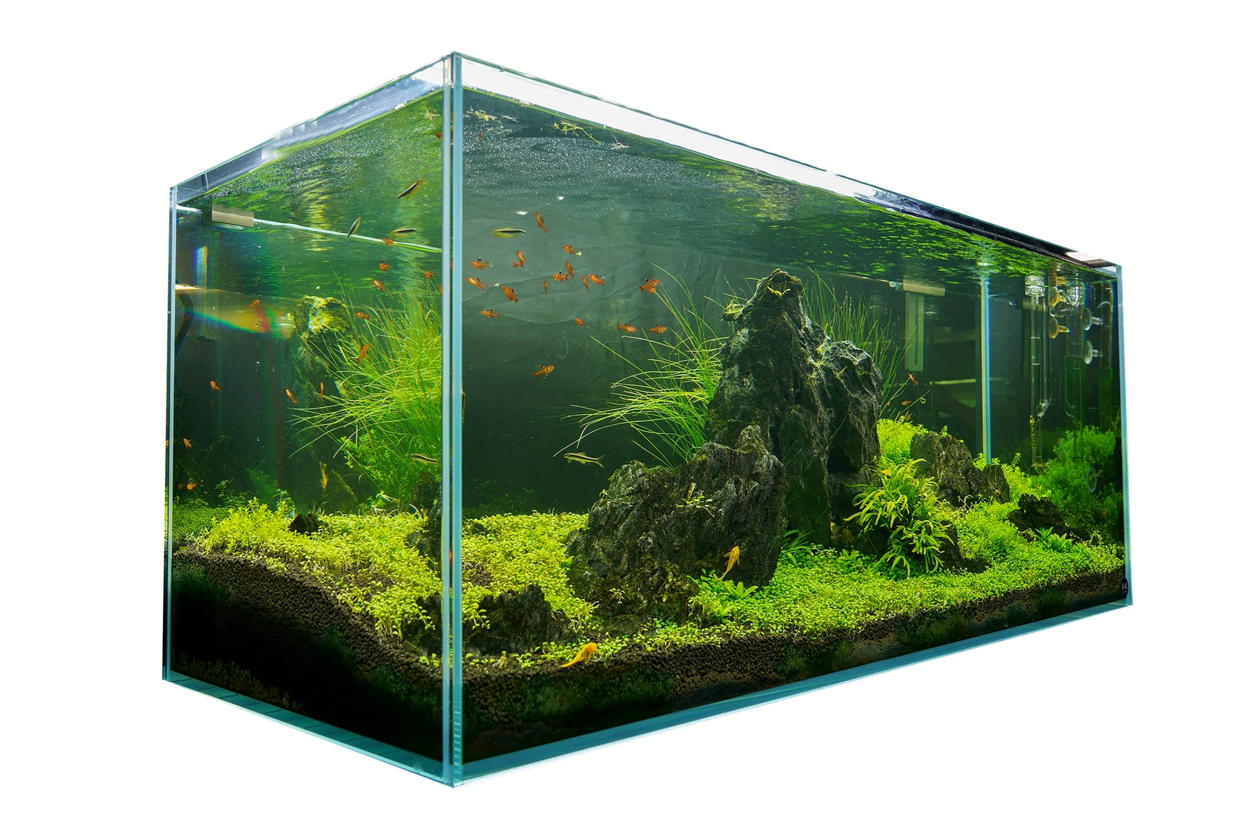 【Pet】120P 72.2 Gallon Rimless Low Iron Aquarium Tank, 47.2" W x 19.7" D x 19.7" H 10mm Thickness